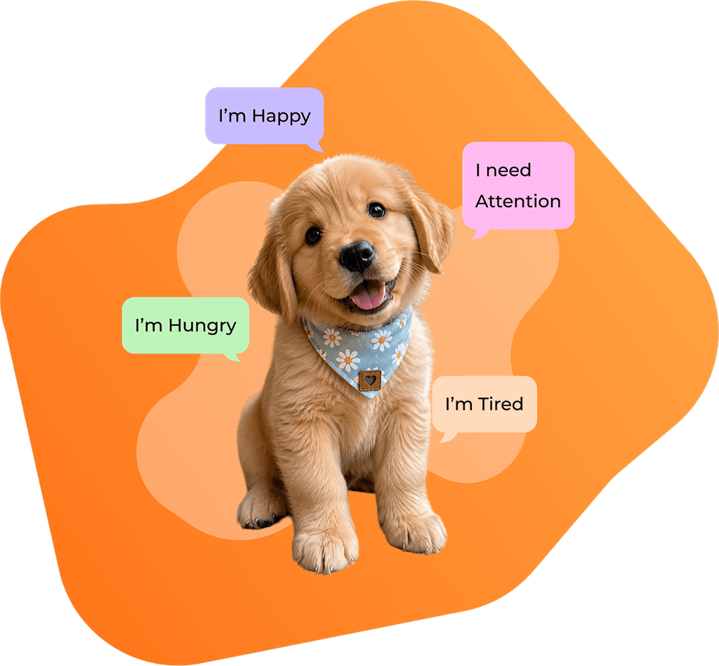 Dog Translator App